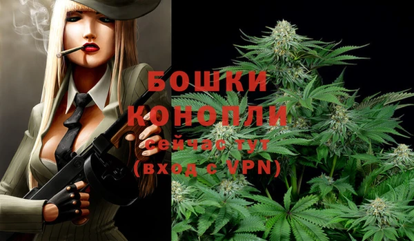 МДПВ Белокуриха