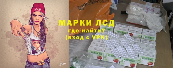 шишки Саяногорск